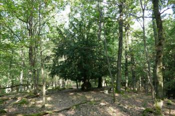  (© Pavel Semple 09/2023)