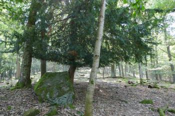  (© Pavel Semple 09/2023)