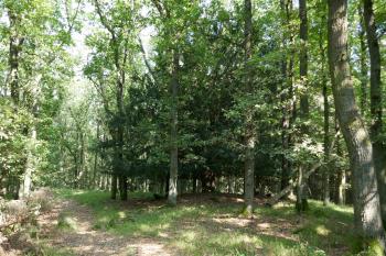  (© Pavel Semple 09/2023)