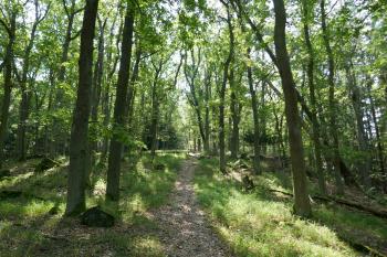  (© Pavel Semple 09/2023)