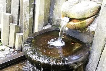 Kašna žába v Kamenickém Šenově, v severní části města. (© Pavel Vítek  10/2025)