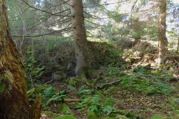 ruiny zdí (© Milan Caha  09/2025)