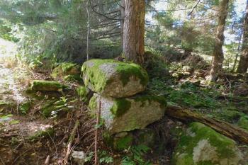  (© Milan Caha  09/2025)