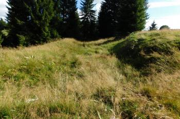  (© Milan Caha  09/2025)