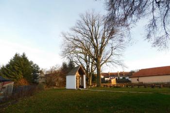  (© Milan Caha  11/2025)