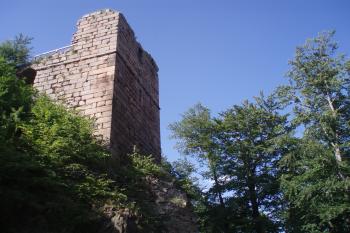  (© Jan Švejkar, 07/2007)