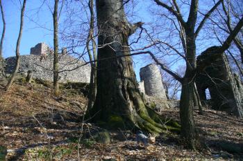 Hrad Kumburk (© Pavel Jarý, 02/2011)