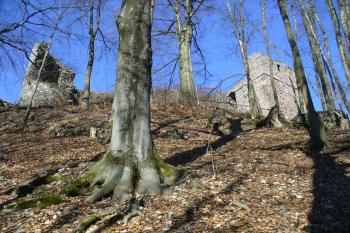 Hrad Kumburk (© Pavel Jarý, 02/2011)