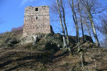 Hrad Kumburk (© Pavel Jarý, 02/2011)