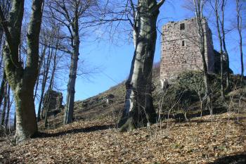 Hrad Kumburk (© Pavel Jarý, 02/2011)
