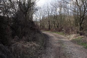 Cesta vede přibližně po původní hlavní přístupové cestě na hradiště ( © Iva Spurná 3.4.2010)