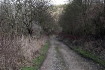 Cesta vede přibližně po původní hlavní přístupové cestě na hradiště ( © Iva Spurná 3.4.2010)