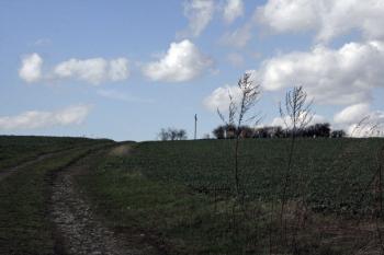 Cesta vedoucí na akropoli ( © Iva Spurná 3.4.2010)