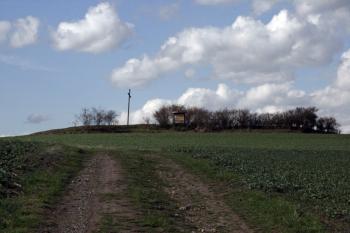 Cesta vedoucí na akropoli ( © Iva Spurná 3.4.2010)
