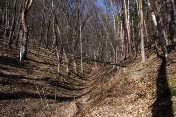 Strmý svah hradiště na západě ( © Iva Spurná 3.4.2010)