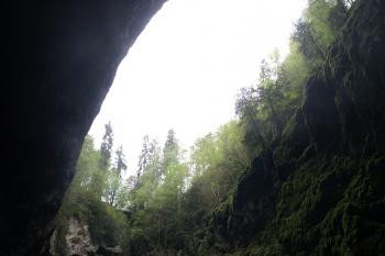 Pohled z jseskině (© Luděk Vláčil, 07/2013)