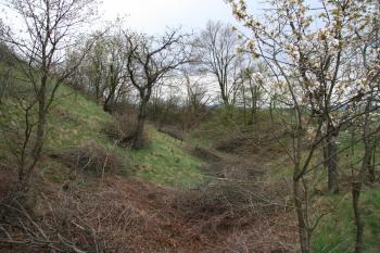 Příkop tvrze ( © Petr Nožička 04/2010)