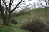 Libomyšl