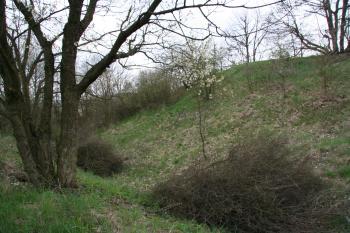 Příkop tvrze ( © Petr Nožička 04/2010)
