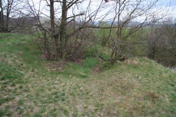 Terenní nerovnost na ploše tvrziště ( © Petr Nožička 04/2010)