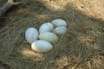  (© Jaroslav Špiroch  07/2025)