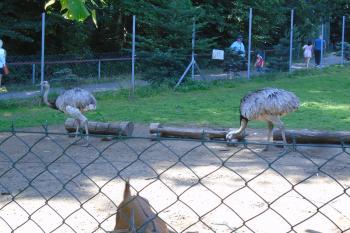  (© Jaroslav Špiroch  07/2025)