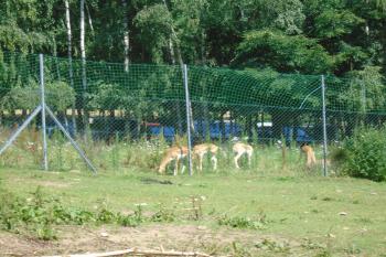  (© Jaroslav Špiroch  07/2025)