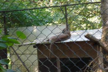  (© Jaroslav Špiroch  07/2025)