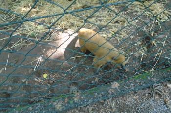  (© Jaroslav Špiroch  07/2025)