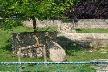  (© Jaroslav Špiroch  07/2025)