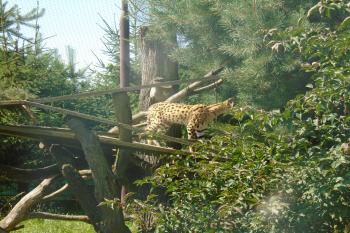  (© Jaroslav Špiroch  07/2025)