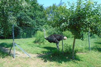  (© Jaroslav Špiroch  07/2025)