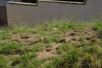  (© Jaroslav Špiroch  07/2025)