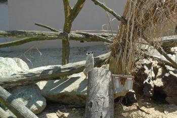  (© Jaroslav Špiroch  07/2025)