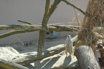  (© Jaroslav Špiroch  07/2025)