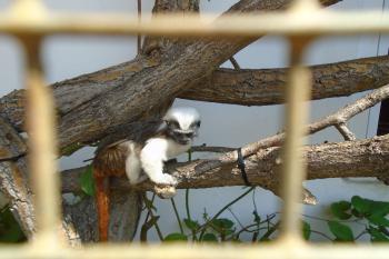  (© Jaroslav Špiroch  07/2025)