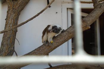  (© Jaroslav Špiroch  07/2025)