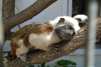  (© Jaroslav Špiroch  07/2025)