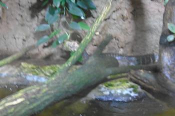  (© Jaroslav Špiroch  07/2025)