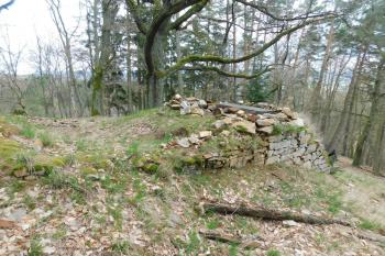  (© Milan Caha  04/2023)