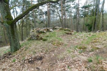  (© Milan Caha  04/2023)