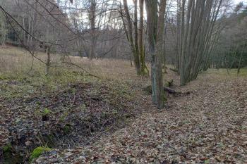 bývalá odtoková strouha (© Stanislav Drda  11/2025)