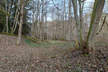 pozůstatky náhonu s mlýnským rybníkem (© Stanislav Drda  11/2025)