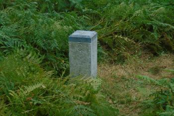  (© Marcela Váňová  08/2025)