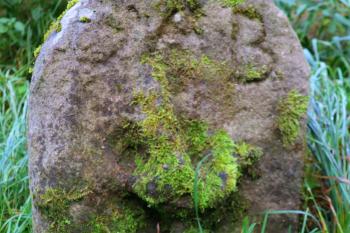 hraniční kámen (© Alena Říhová 10/2023)