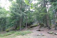 Lesnická pamětní deska