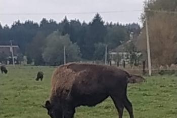  (© Jaroslav Špiroch  08/2025)