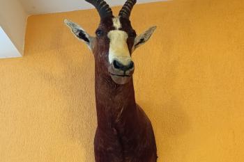  (© Jaroslav Špiroch  08/2025)