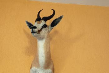  (© Jaroslav Špiroch  08/2025)