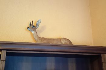  (© Jaroslav Špiroch  08/2025)